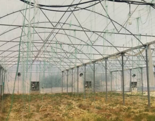 IMG_20251117_230559_563 انواع سازه گلخانه دست دوم در سراسر ایران