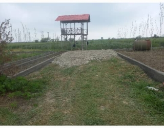 زمین با مجوز دامداری صنعتی