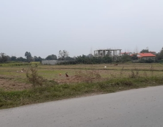 زمین مسکونی در گیلان ، تالش