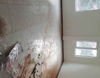 IMG_20250521_010059_762