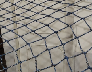 IMG_20251116_113657_005