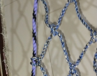 IMG_20251116_113657_814