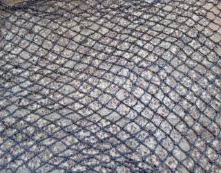 IMG_20251116_113718_419