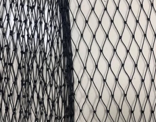 IMG_20251116_113724_985