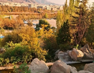 مهندس معمار متخصص بازسازی قرار داد مدیریت پیمان شفافیت مالی