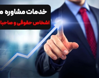 مشاور مالی و مالیاتی ، خدمات حسابداری و حسابرسی 