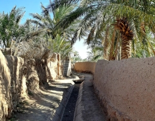 ون دربستی کرمان اجاره لیدر محلی