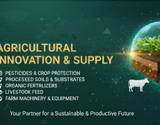 بنر1-2-e1762867548406