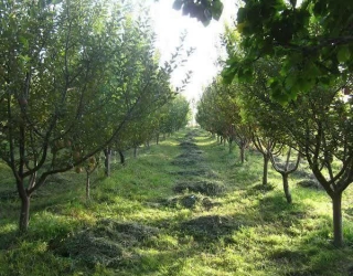 photo_2024-09-17_11-32-55