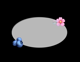 ادمین دایرکتر