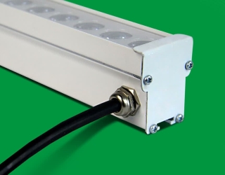 photo_2025-07-30_10-37-25