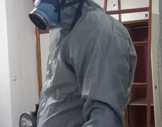 سمپاشی حشرات موذی ساختمانی ساس کنه کک مایت سوسری ها و انواع سوسک