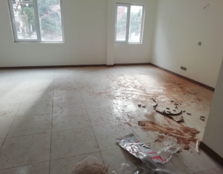 IMG_20250521_010059_762