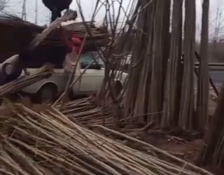 Screenshot_۲۰۲۴۱۰۲۳_۰۰۲۹۳۴_Instagram