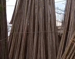 Screenshot_۲۰۲۴۱۰۲۳_۰۰۳۰۳۵_Instagram