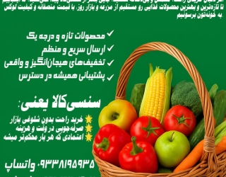 IMG_20250925_140340_188