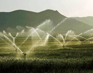 فروش مرغداری وزمین وچاه آب وباغ