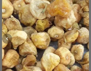 انجیرخشک کاشمر