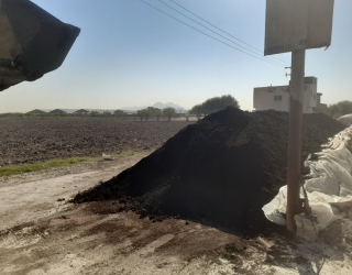 کود کامل پوسیده حیوانی ارگانیک بدون تخم علف و قارچ در زیر پلاستیک