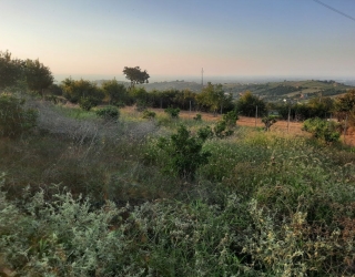 800متر زمین در اطراف ساری روستایی لالیم منطقه گردشگری تفریعی