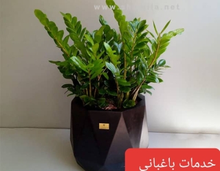 ۲۰۲۵۱۱۱۰_۱۸۳۷۰۷