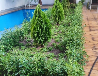 انجام خدمات باغبانی در زعفرانیه