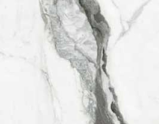 کاشی سرامیک لوتوس