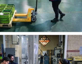 استخدام تولید تجعیزات پزشکی