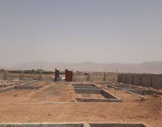 IMG_20250128_123156_579