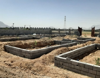 IMG_20250128_123220_885