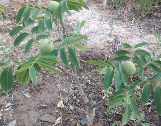 IMG_20251228_144642_610