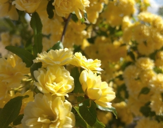 IMG_20251228_144654_742