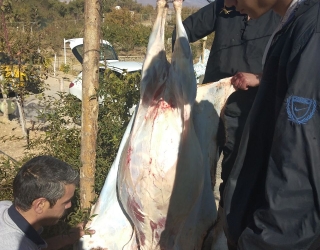 IMG_20251228_144712_603