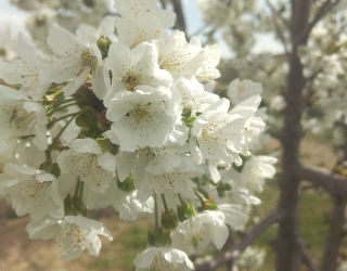 IMG_20251228_144724_796