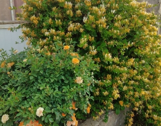 IMG_20251228_144738_547