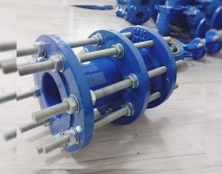 InShot_20240415_134834212 (1)