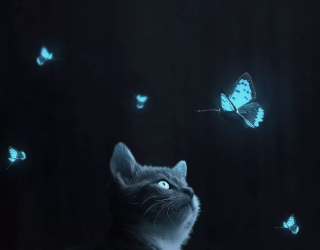 به کارگرساده خانم/اقادرتولیدی کفش نیازمندیم