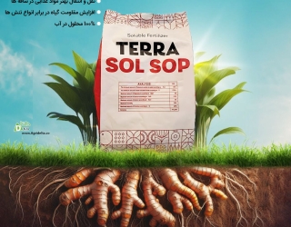 سولفات پتاسیم    Sol Sop®