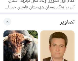 تلقیح مصنوعی گاو توسط نفر اول کشوری رشته تلقیح گاو