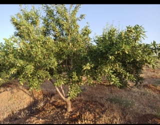 Screenshot_۲۰۲۵۰۴۱۵-۰۸۰۱۳۱_Divar