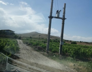 واحد تولیدی