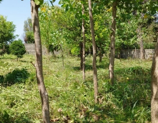 IMG_20260128_153303_709