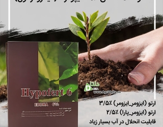 کلات آهن 6% هیپوفرت