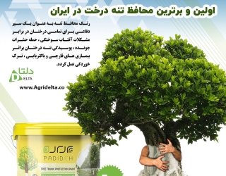 رنگ محافظ تنه پدیده