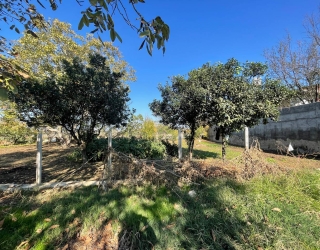 IMG_20251203_115027_888