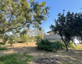 IMG_20251203_115028_486