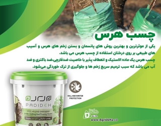 چسب باغبانی نانو گرین پدیده