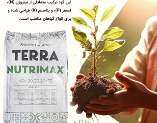 کود 20-20-20 NPK ترافارم