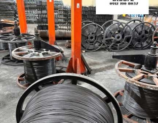 photo_2025-11-12_11-33-23_569297