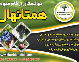 فروش نهال میوه پیوندی اصلاح شده